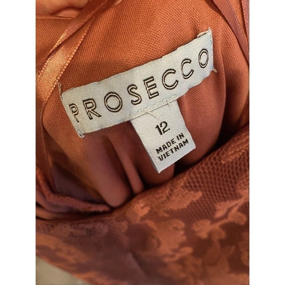 Prosecco Fit & Flare A-line Pink Lace Dress Sz 12 Summer Party Cocktail Barbie - Picture 2 of 5